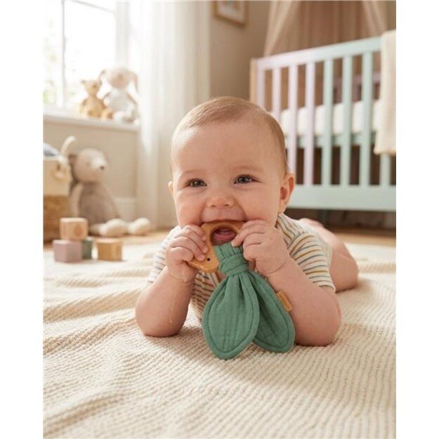 Kūdikių dantukas New Baby Bird mėtų