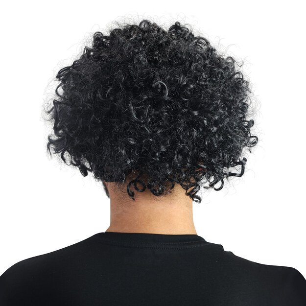 Afro hair wig for adults 1