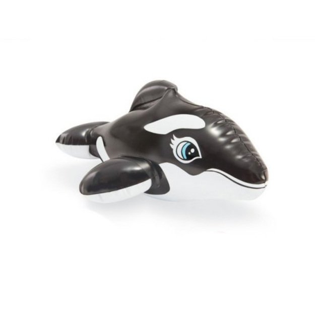 Pripučiami gyvūnai, 4 rūšių 2