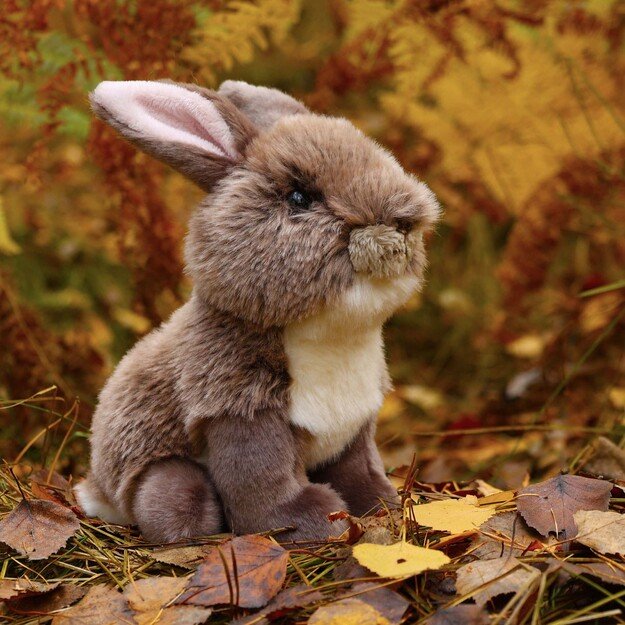 Pliušinis kiškis 20 cm EKOLOGIŠKAS 4