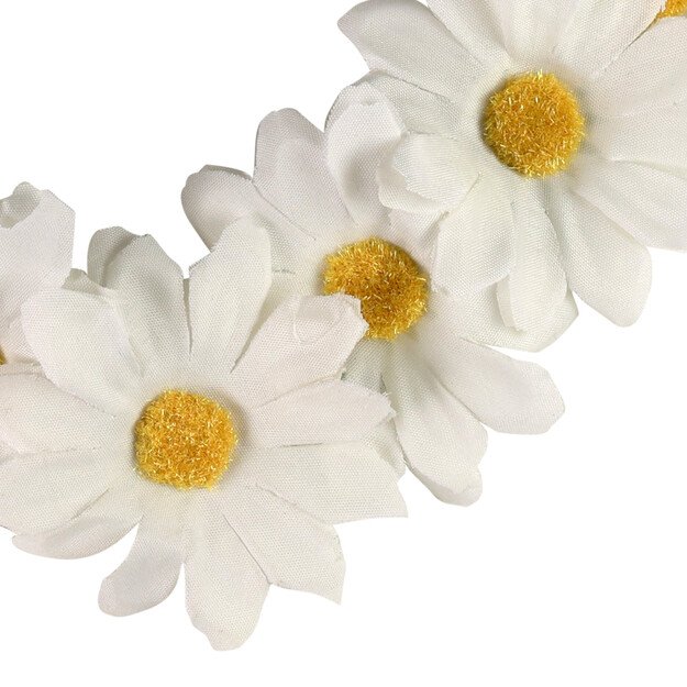 Daisy galvos juosta suaugusiems 1