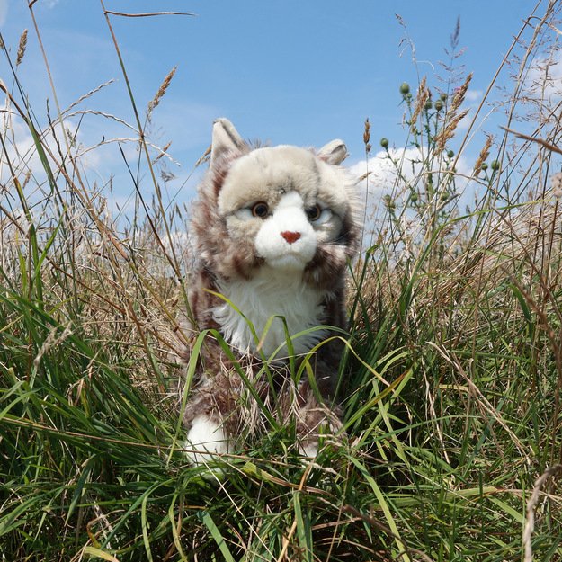 Plush Norwegian cat 38 cm ECO-FRIENDLY 5