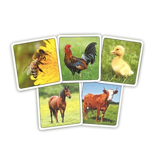 Pexeso ūkis dėžutėje 2