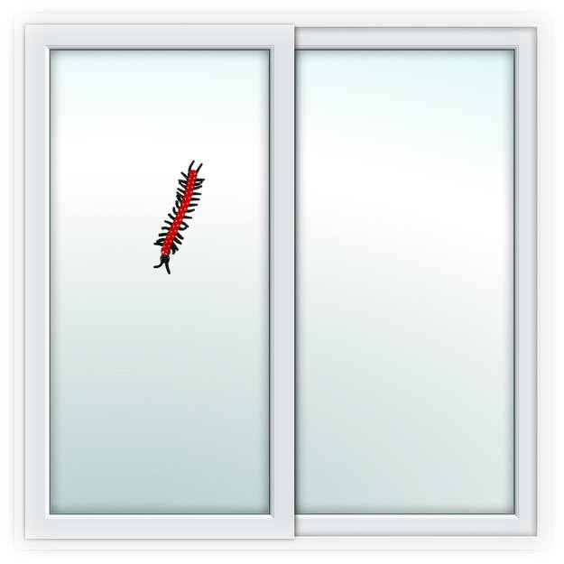 Lipnus guminis šimtakojis 4