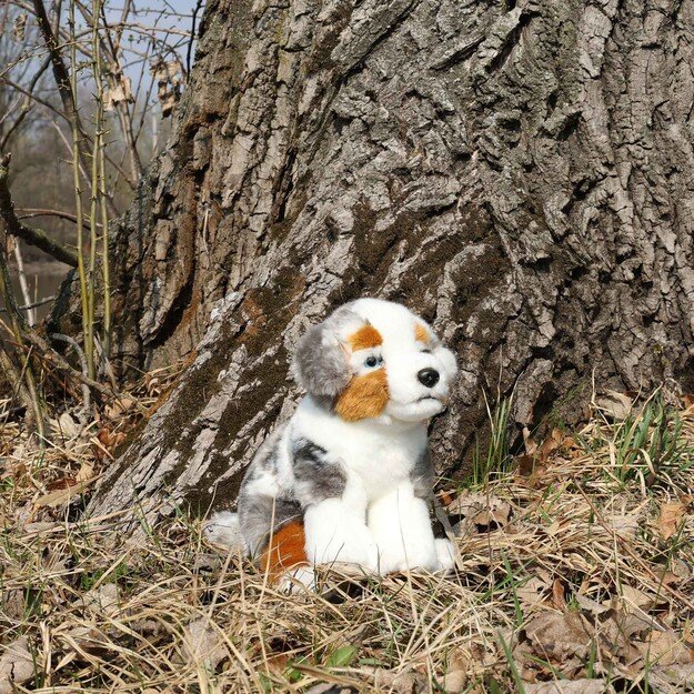 Plush Australian Shepherd 23 cm ECO-FRIENDLY 1