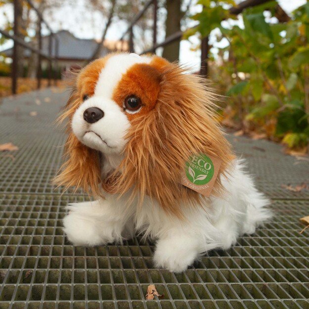 Pliušinis karaliaus Karolio spanielis 25 cm EKOLOGIŠKAS 5