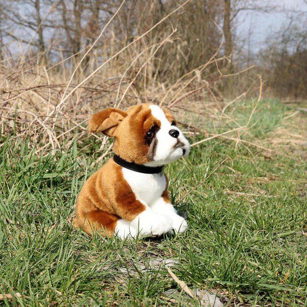 Pliušinės bokserinės kelnaitės su apykakle 27 cm EKOLOGIŠKOS 4