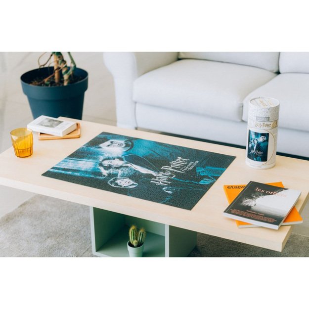 Haris Poteris – galvosūkiai 500 elementų dekoratyvinėje dėžutėje (Haris Poteris ir Azkabano kalinys) 13