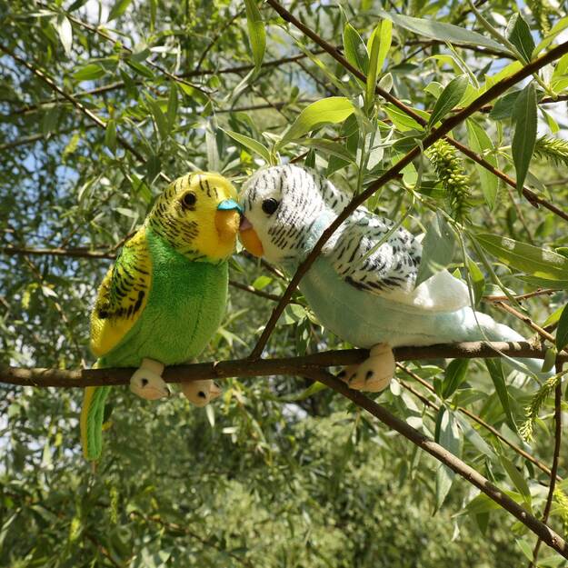 Plush budgies assort 13 cm ECO-FRIENDLY