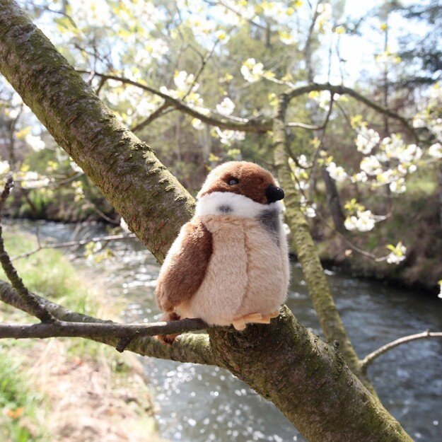 Plush sparrow bird 13 cm ECO-FRIENDLY