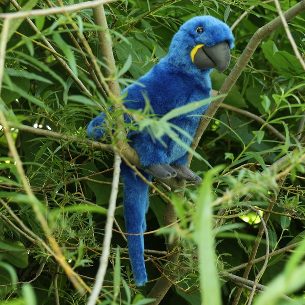 Plush Macaw 25 cm ECO-FRIENDLY