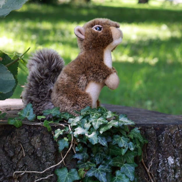 Plush squirrel with nut 20 cm ECO-F.