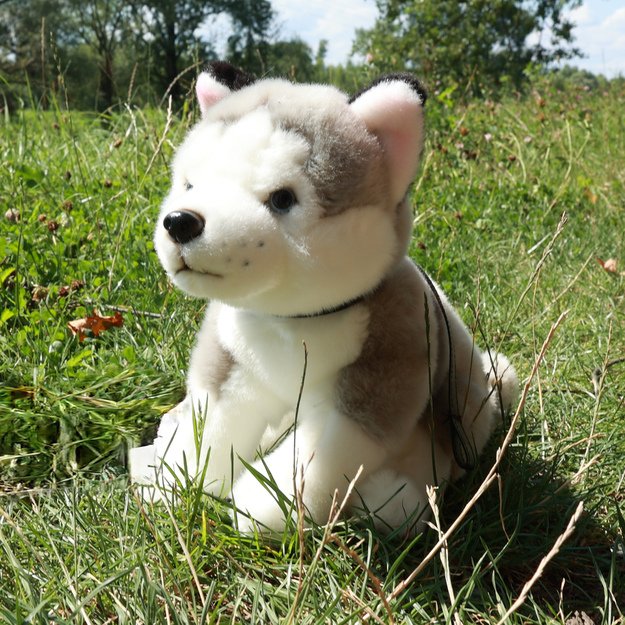 Plush Husky with leash 28 cm ECO-FRIENDLY