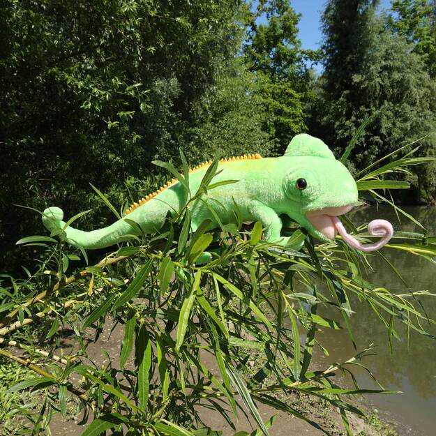 Plush chameleon 34 cm ECO-FRIENDLY