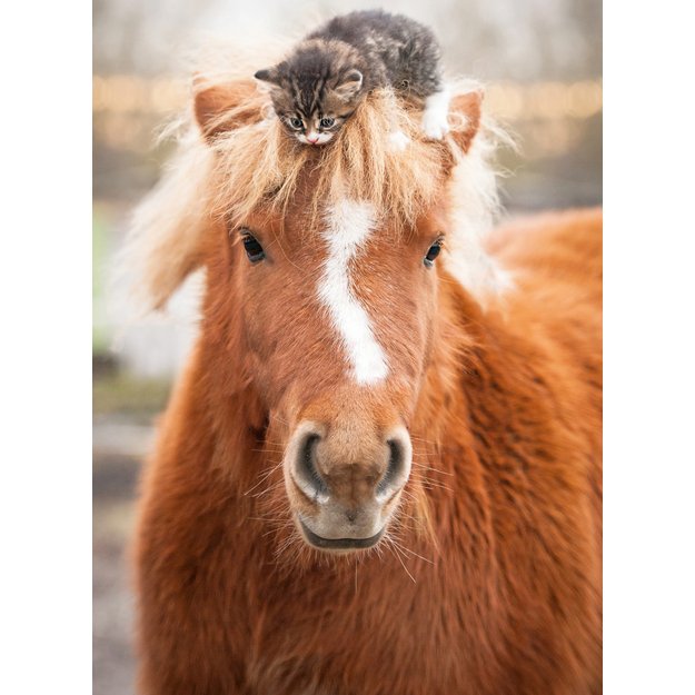Ravensburger Puzzle 500 Pieces: Pony And Cat