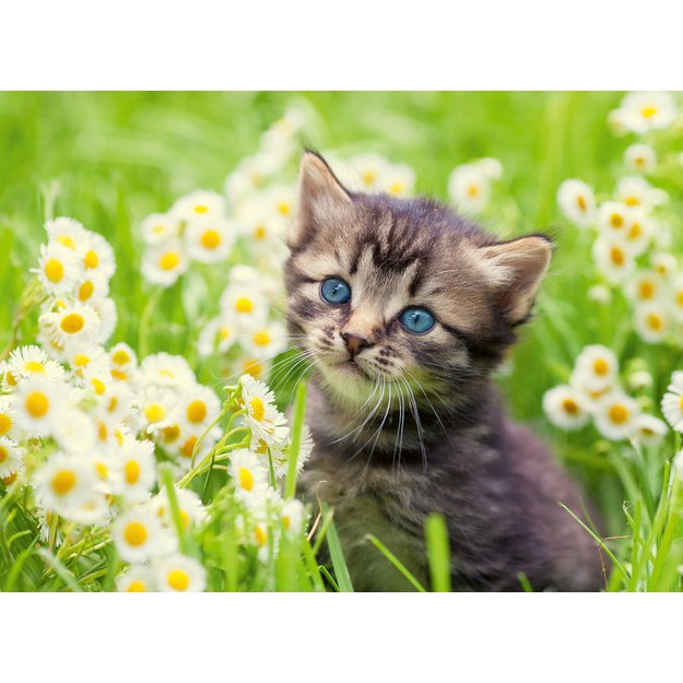 Ravensburger Puzzle 500 Pieces: Cat In The Garden