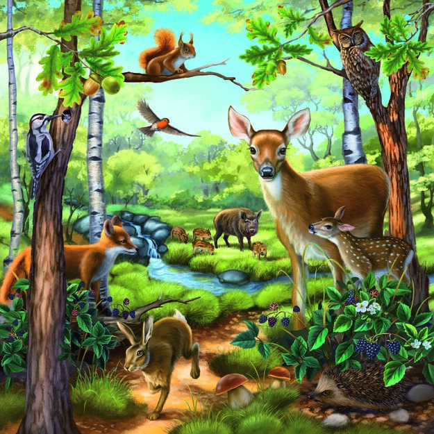 Ravensburger Puzzle 3x49 pc Animals