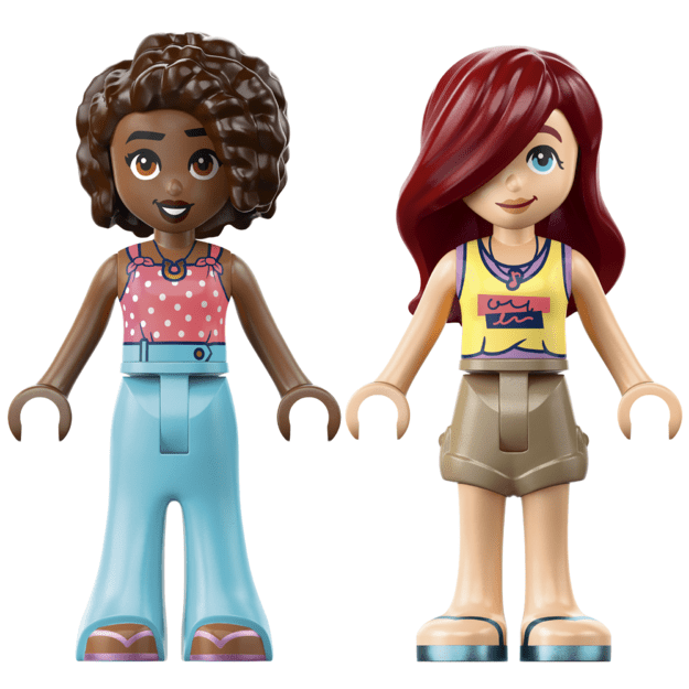 LEGO Friends Friendship Movie Night
