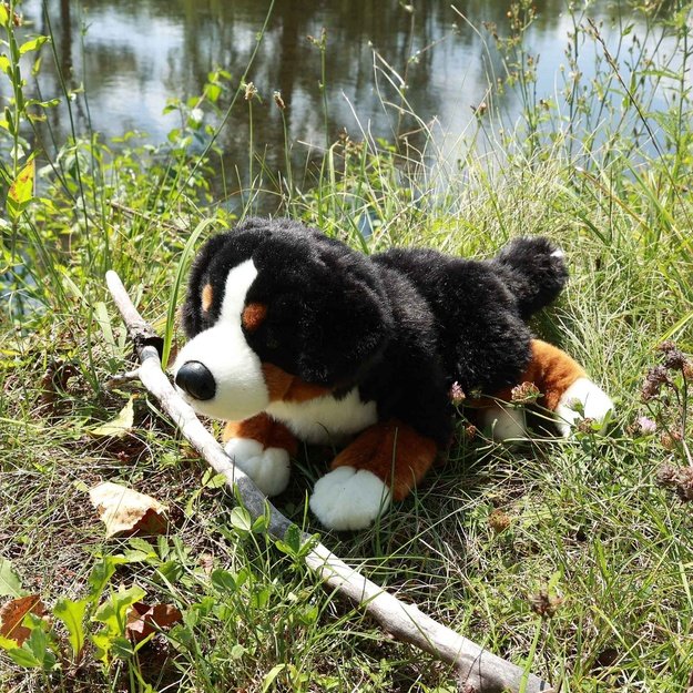 Plush Bernese Mountain dog 44 cm ECO-FRIENDLY