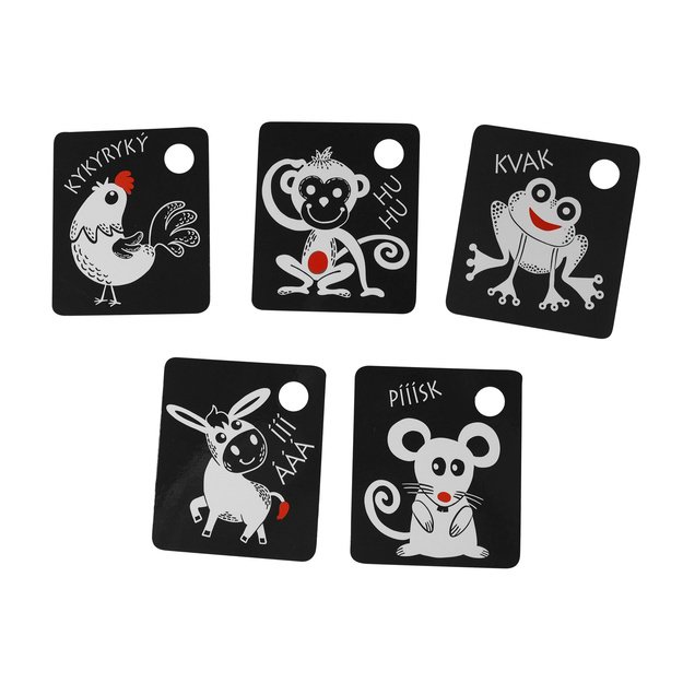 Contrast cards with a color element