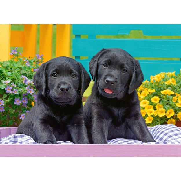 Ravensburger  Puzzle 300 pc Puppies