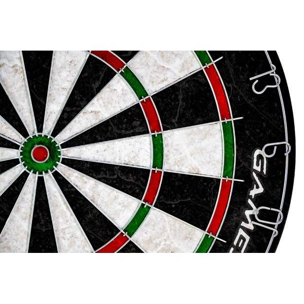 Gamesson Dartboard: Tournament Edition