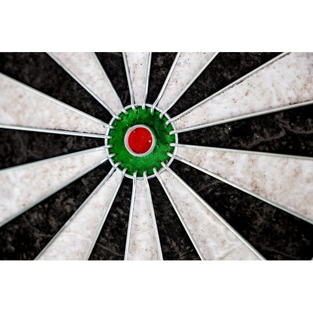 Gamesson Dartboard: Tournament Edition