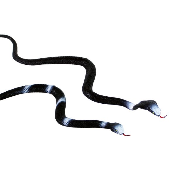 gyvatė 76 cm, 4 rūšys 3