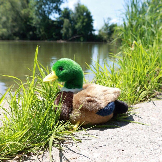Plush duck 22 cm ECO-FRIENDLY 5