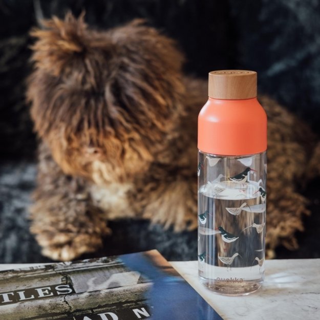 „Quokka Ice“ – „Ecozen“ vandens buteliukas 720 ml (paukščiams) 1