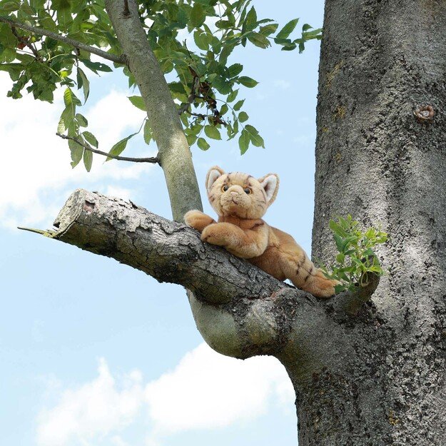 Pliušinis rudas katinas 30 cm EKOLOGIŠKAS 4