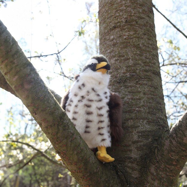 Plush hawk 23 cm ECO-FRIENDLY 4