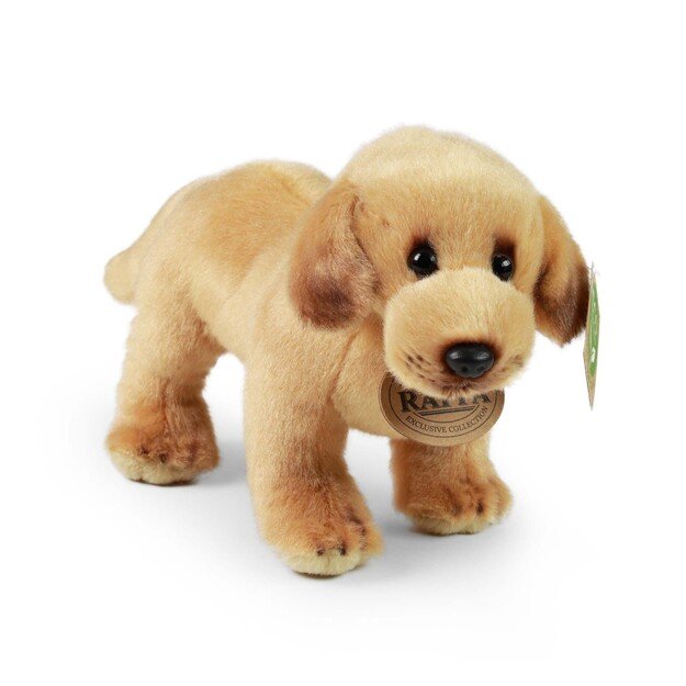 Plush Labrador 20 cm ECO-FRIENDLY 2