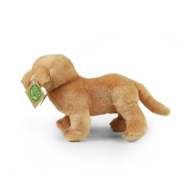 Plush Labrador 20 cm ECO-FRIENDLY 3