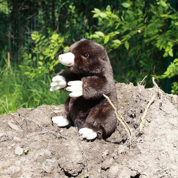 Plush mole 21 cm ECO-FRIENDLY 4