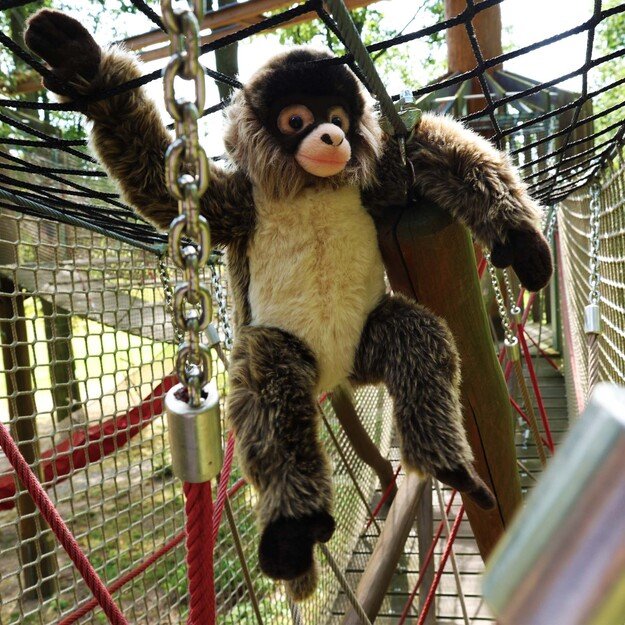 Plush Spider Monkey 30 cm ECO-FRIENDLY 5