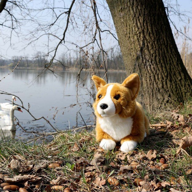 Plush Corgi dog 32 cm ECO-FRIENDLY 5