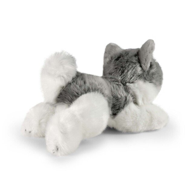 Pliušinis Haskis 20 cm EKOLOGIŠKAS 4