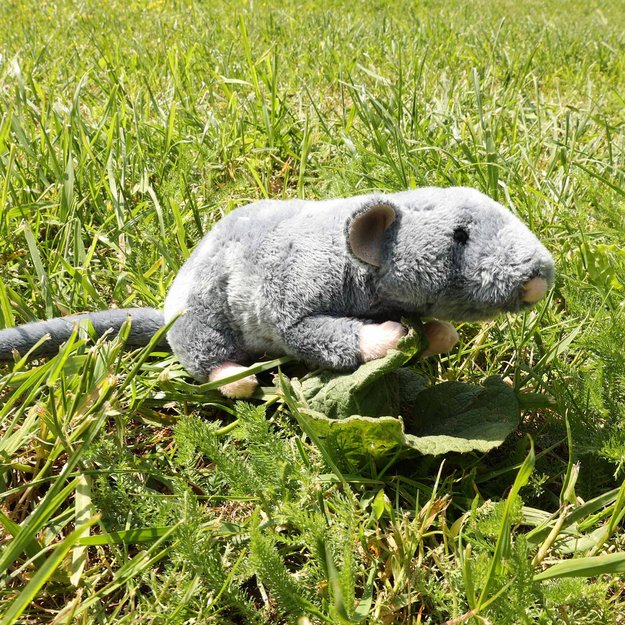 Pliušinis pelės žaislas 20 cm EKOLOGIŠKAS 5