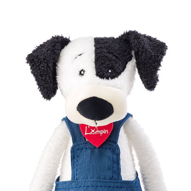 Šuo Federico 40 cm 2