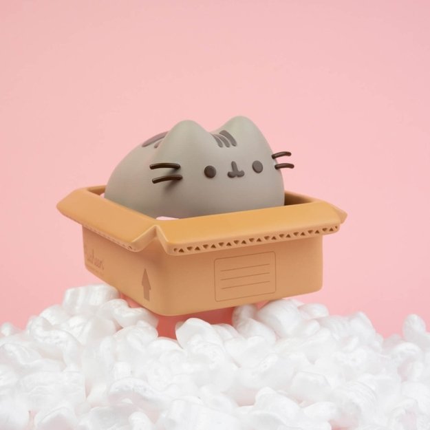 Pusheen - vinilo taupyklė Kawaii 3