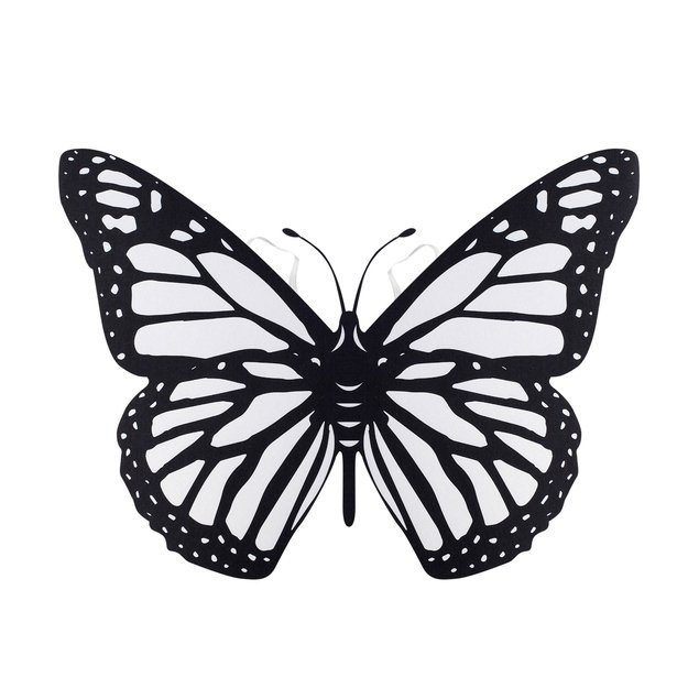 Drugelio sparnai, kuriuos reikia nuspalvinti 3