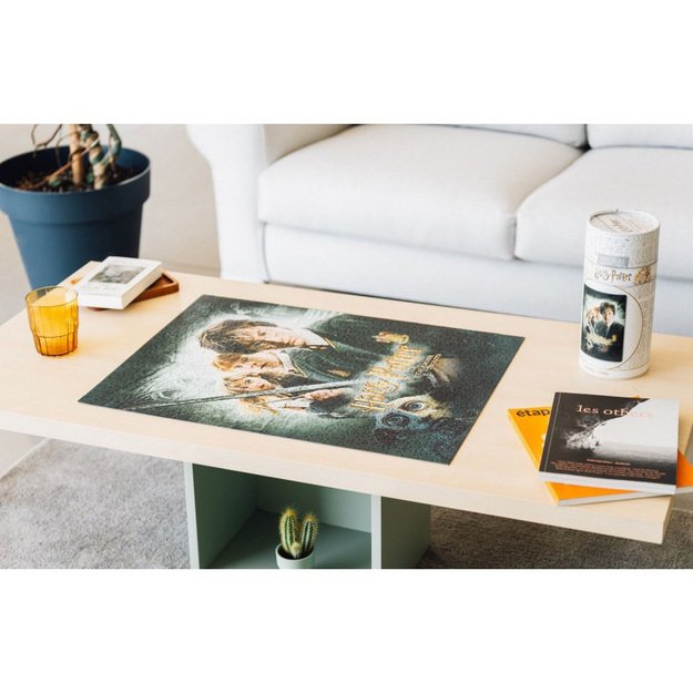 Haris Poteris – galvosūkiai 500 elementų dekoratyvinėje dėžutėje (Haris Poteris ir paslapčių kambarys) 21