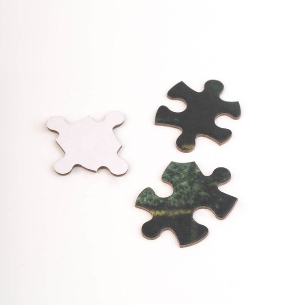 Haris Poteris – galvosūkiai 500 elementų dekoratyvinėje dėžutėje (Haris Poteris ir paslapčių kambarys) 19