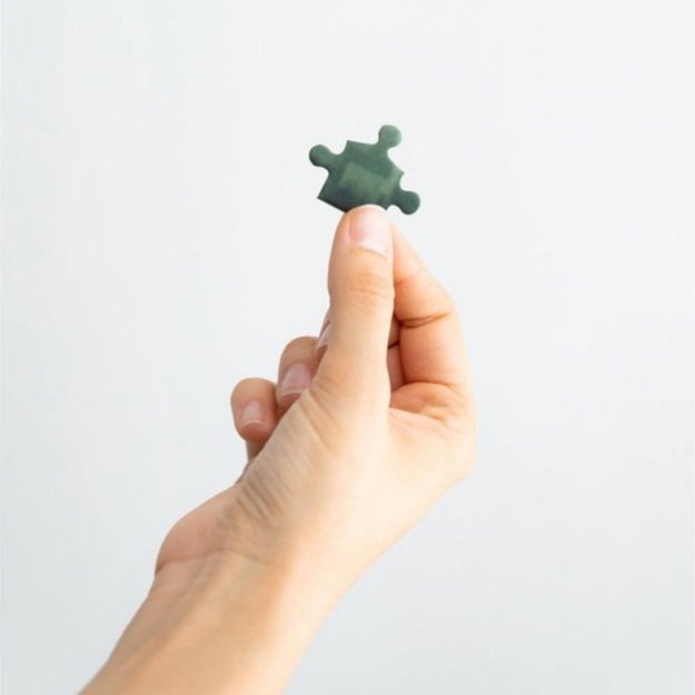 Haris Poteris – galvosūkiai 500 elementų dekoratyvinėje dėžutėje (Haris Poteris ir paslapčių kambarys) 20