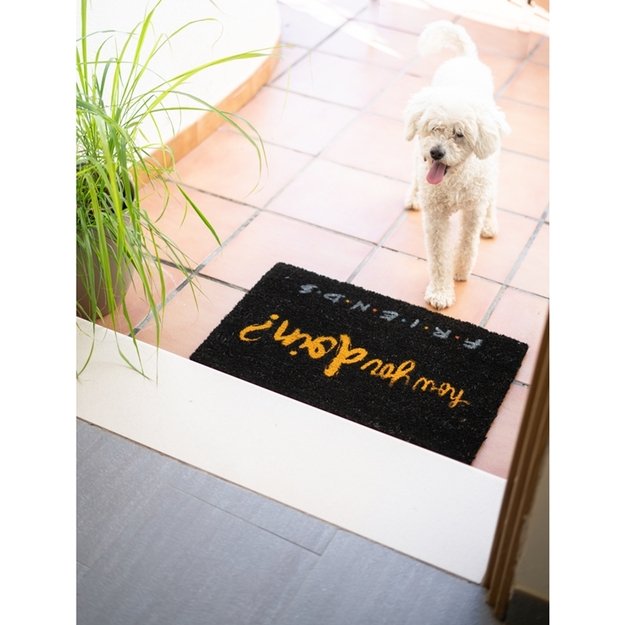 Draugai – Kilimėlis 21