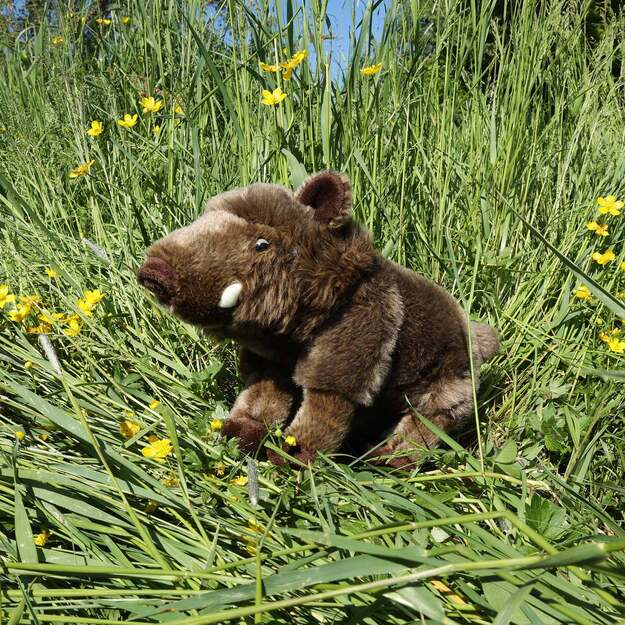 Plush wild boar 28 cm ECO-FRIENDLY