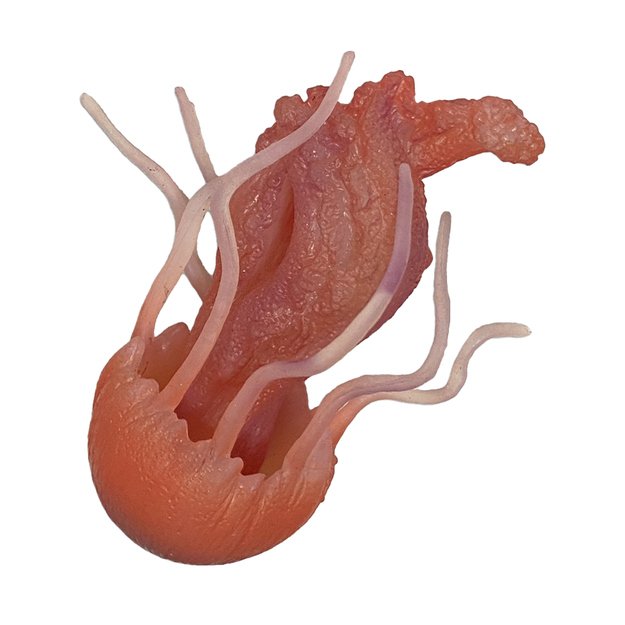 Med&uacute;za gumov&aacute; 10 cm