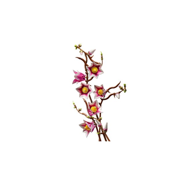 LEGO Botanicals Magnolia Branches