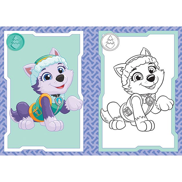Coloring book A5 Paw Patrol/Paw Patrol